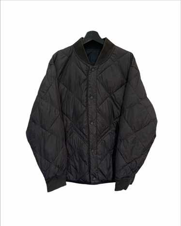 Lemaire puffer - Gem