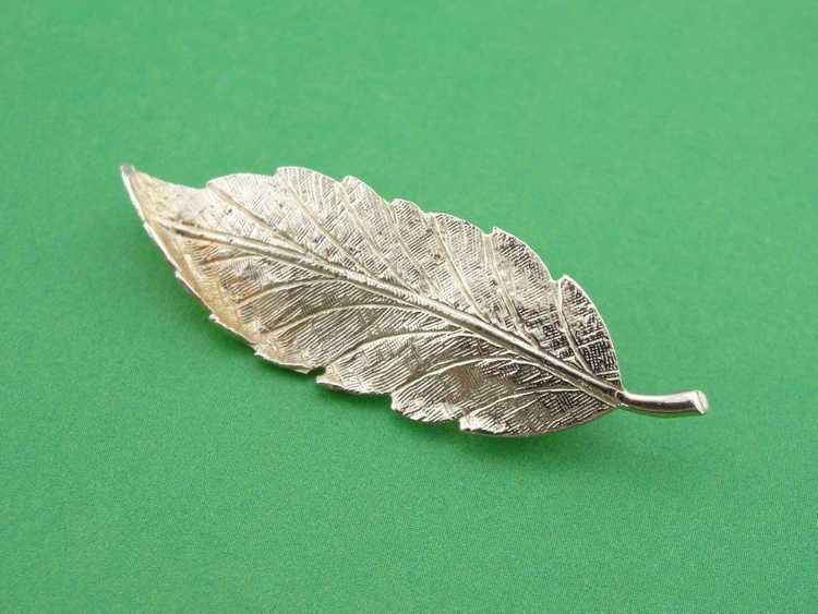 Naturalistic Leaf or Feather Brooch in Gold - image 5