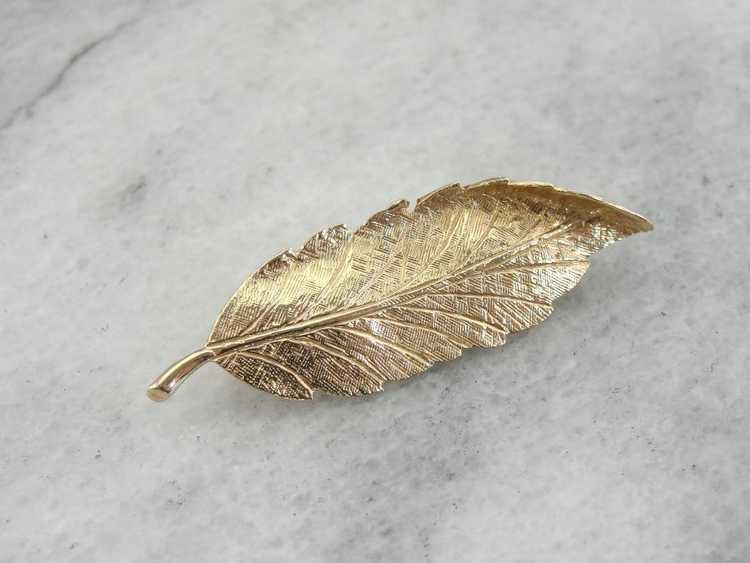 Naturalistic Leaf or Feather Brooch in Gold - image 1