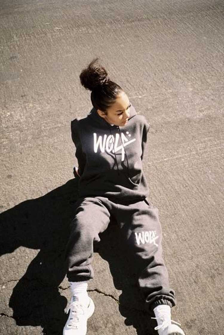Streetwear Sold Out Wolftyla Wolf Members Only 3M… - image 2