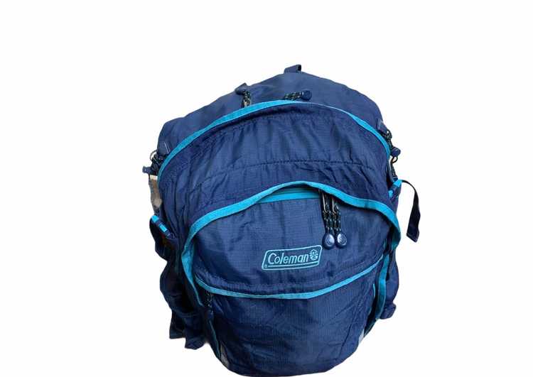 Coleman hotsell travel backpack